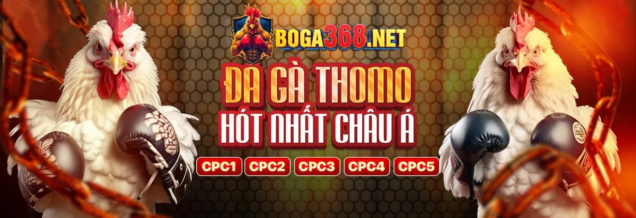 Đá gà trực tuyến new88011 app