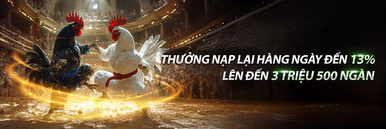 Sảnh Thể Thao Đỉnh Cao new88011 app