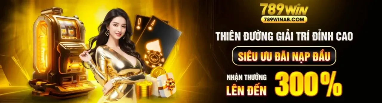 Hình ảnh chính sách quyền riêng tư NEW88011 APP